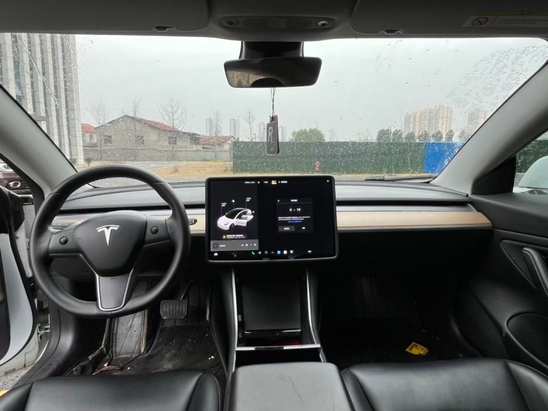 岳阳19年特斯拉MODEL 38