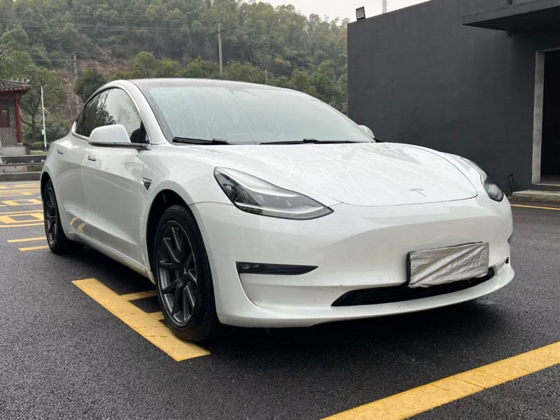 岳阳19年特斯拉MODEL 39