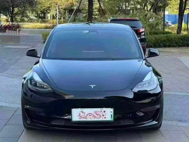 佛山21年特斯拉MODEL 31