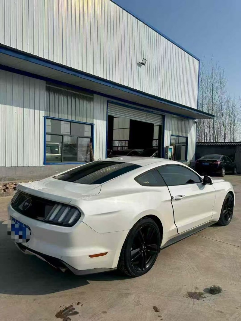 菏泽16年福特野马6