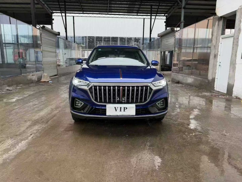 徐州22年红旗HS51