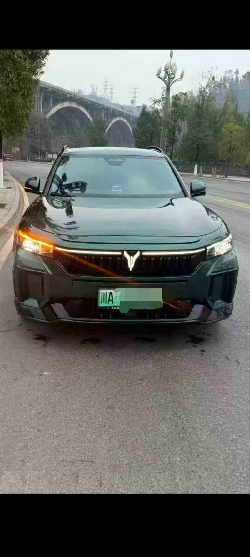 广元24年岚图汽车FREE1