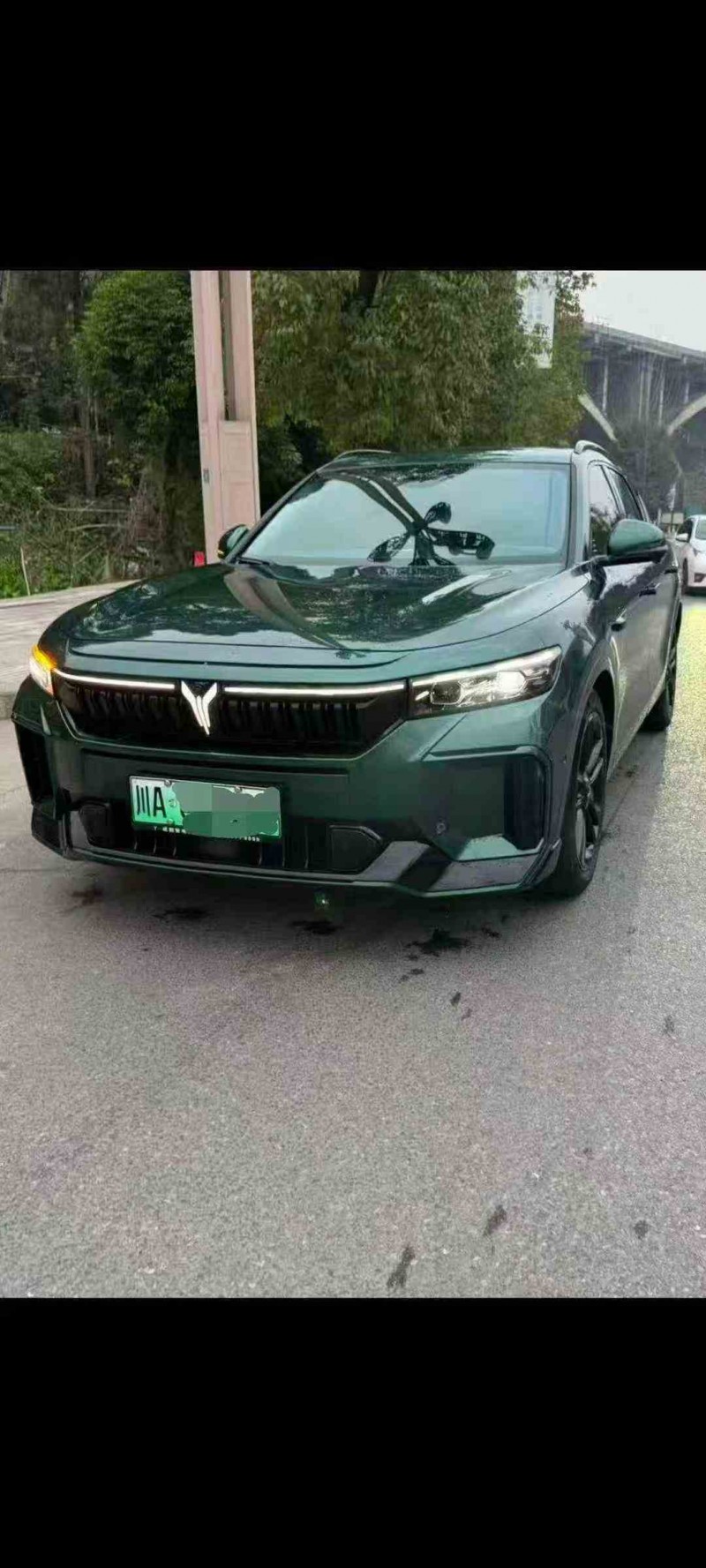 广元24年岚图汽车FREE2