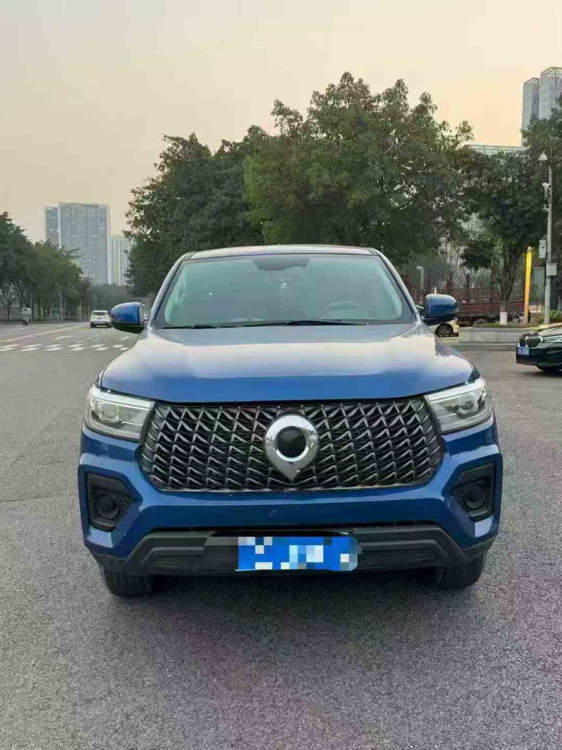 重庆24年长城汽车炮 皮卡1