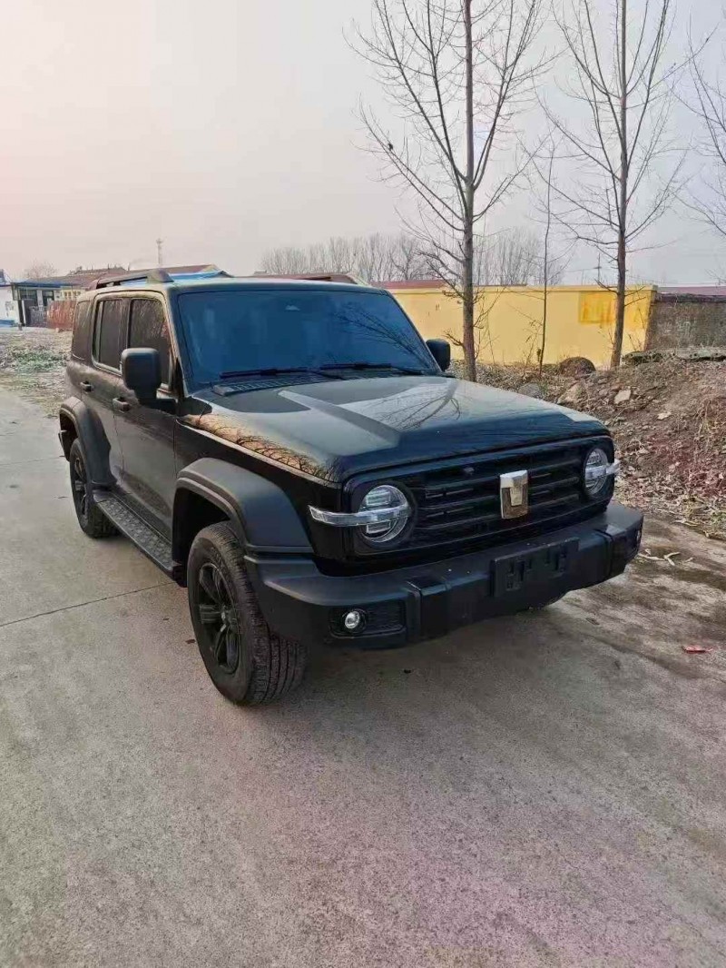 烟台25年长城汽车坦克2