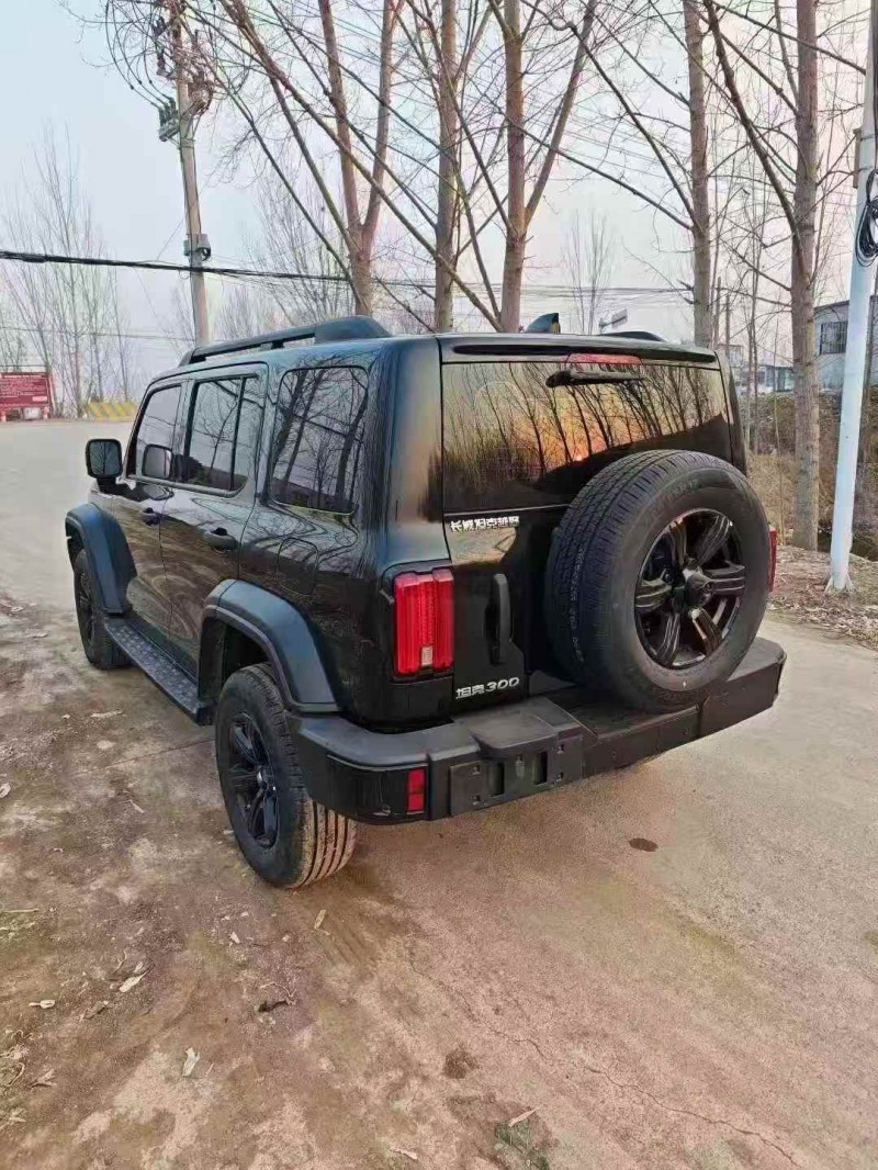 烟台25年长城汽车坦克7