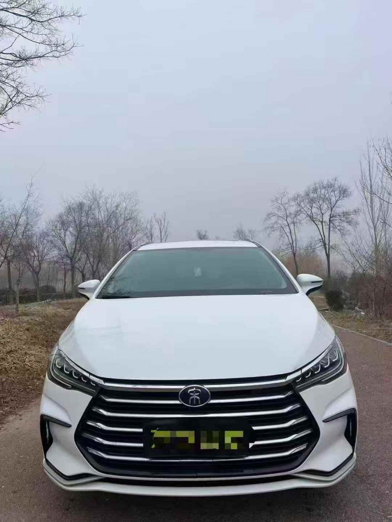 烟台20年比亚迪宋MAX1