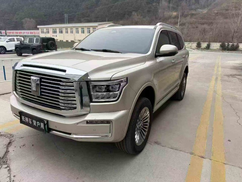 秦皇岛24年长城汽车坦克2