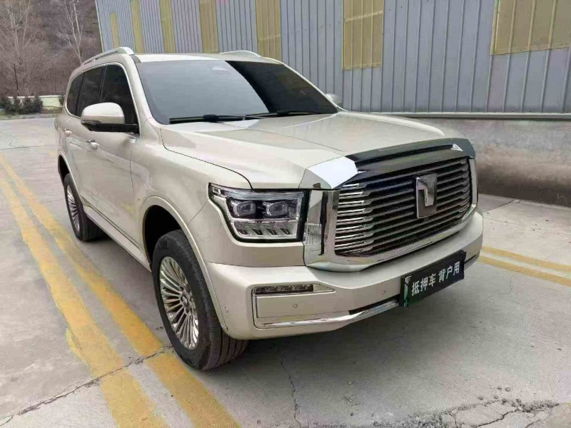 秦皇岛24年长城汽车坦克3