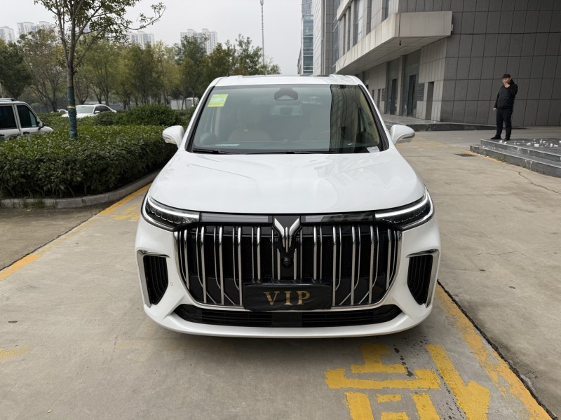 济宁25年岚图汽车梦想家1