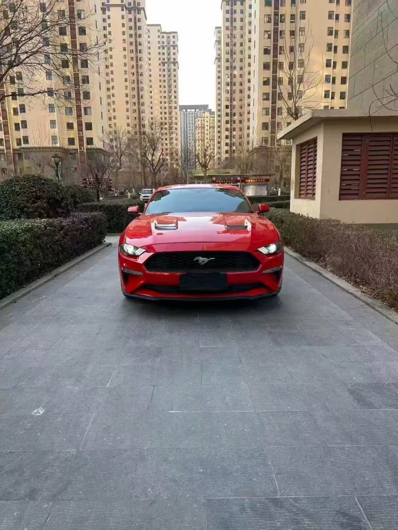 石家庄19年福特野马1