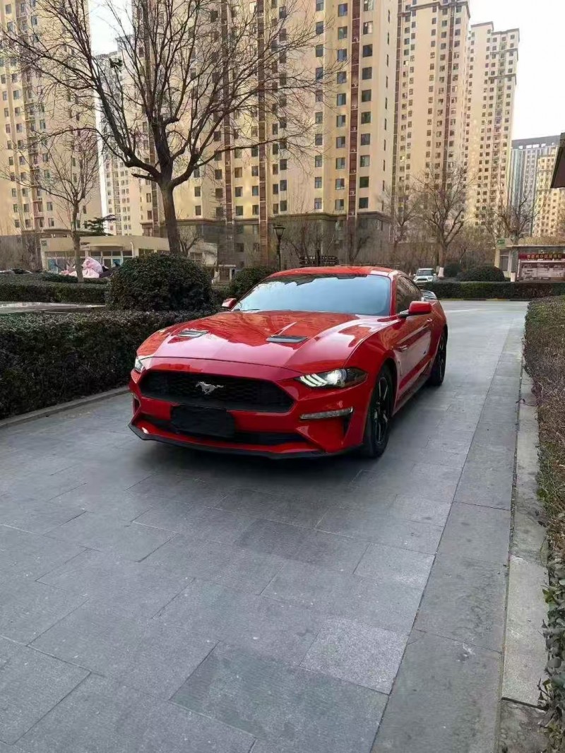 石家庄19年福特野马2