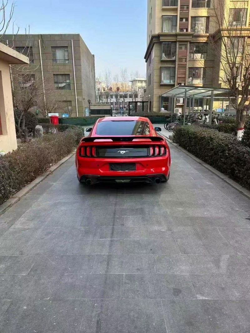 石家庄19年福特野马6