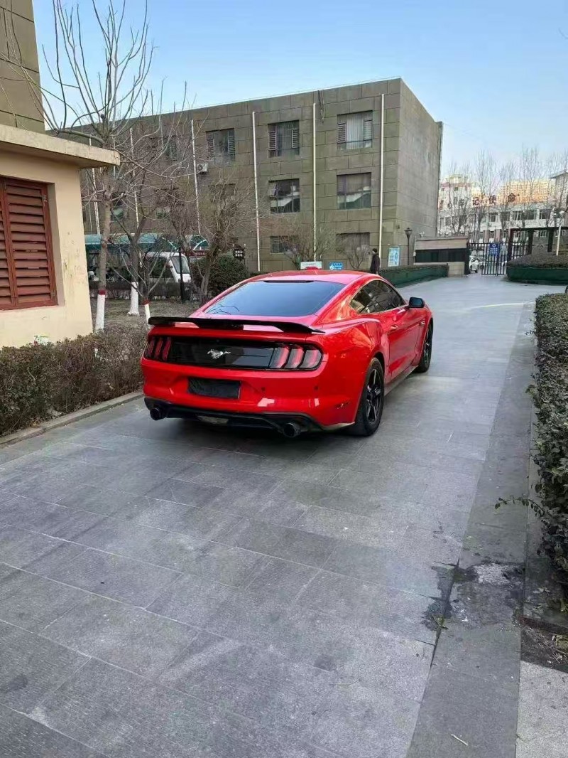 石家庄19年福特野马7