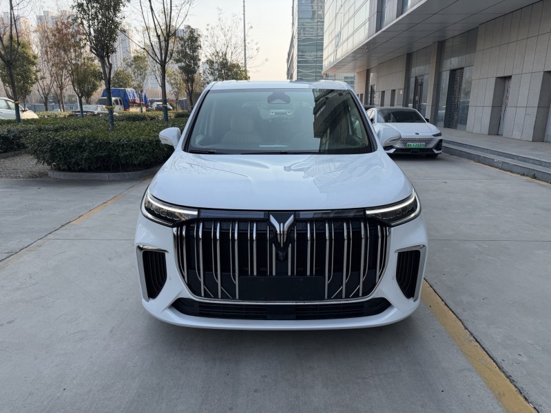 泰安25年岚图汽车梦想家1