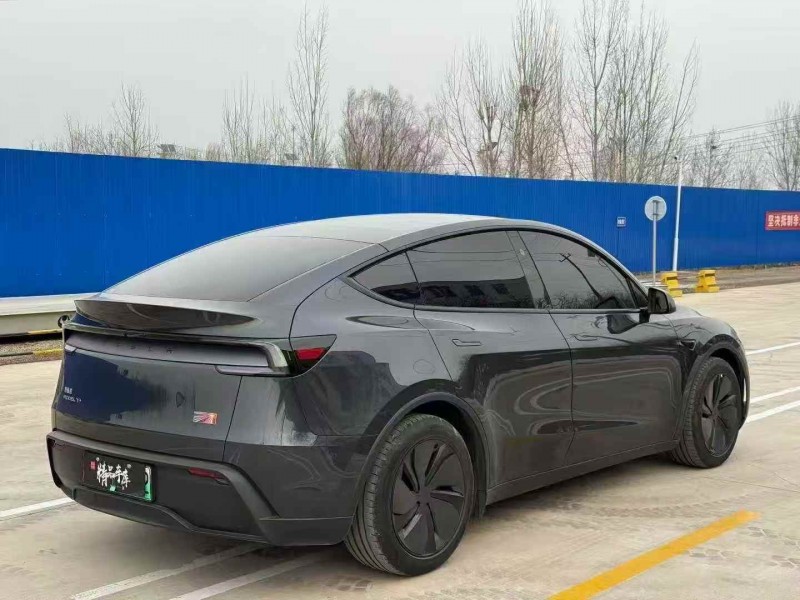 枣庄25年特斯拉MODEL Y8