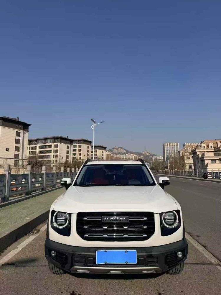 东营23年哈弗大狗1