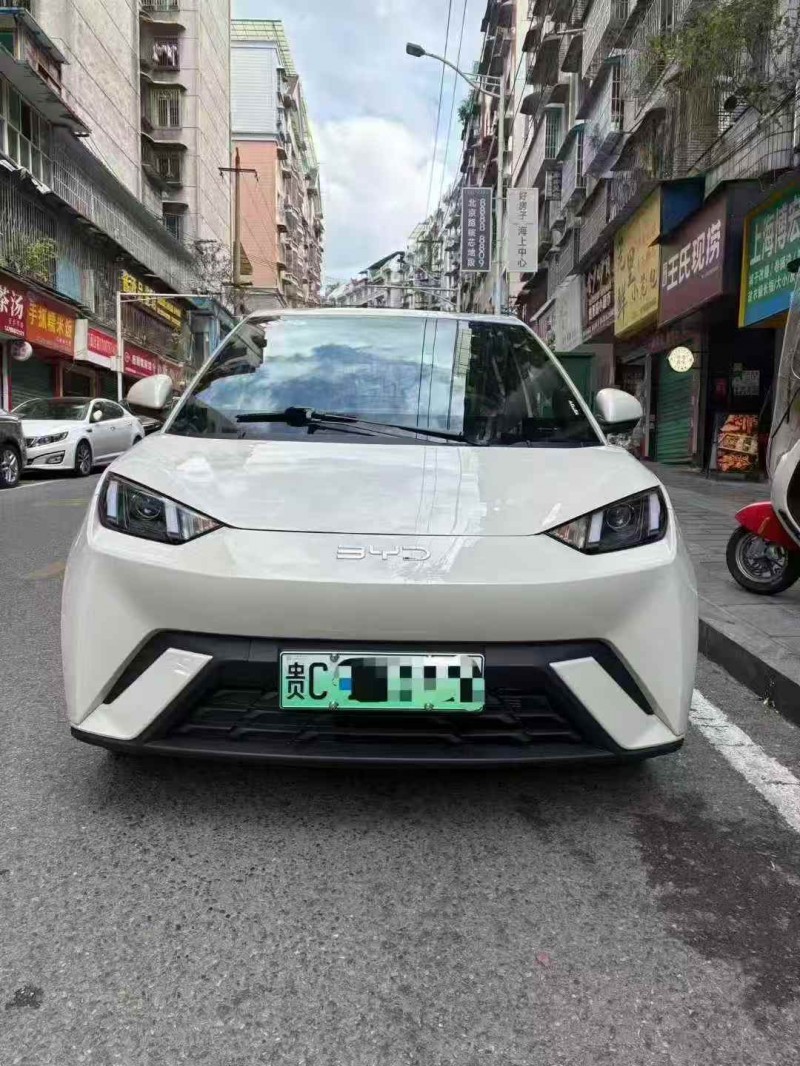 张家界25年比亚迪海鸥1