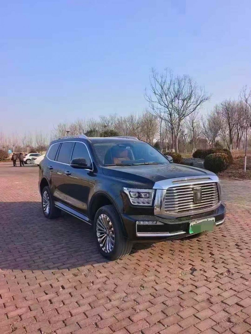 枣庄23年长城汽车坦克3