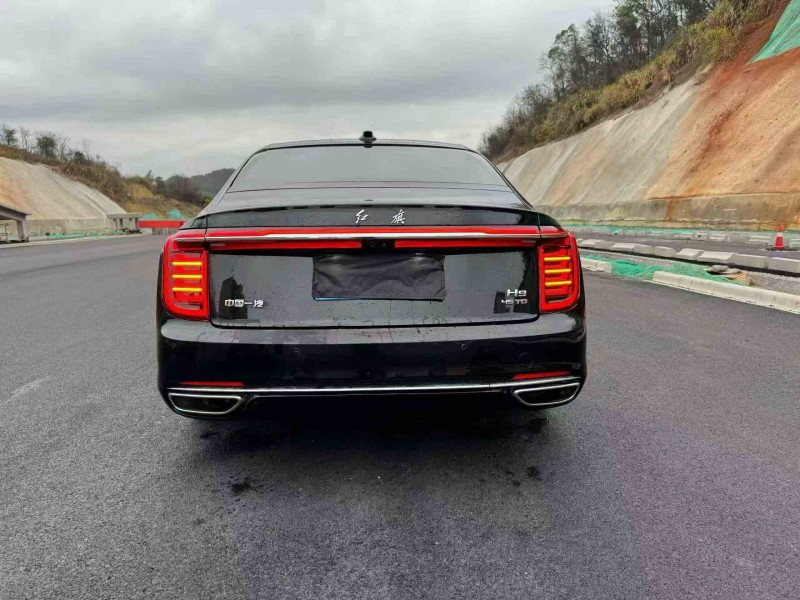 常德22年红旗H99