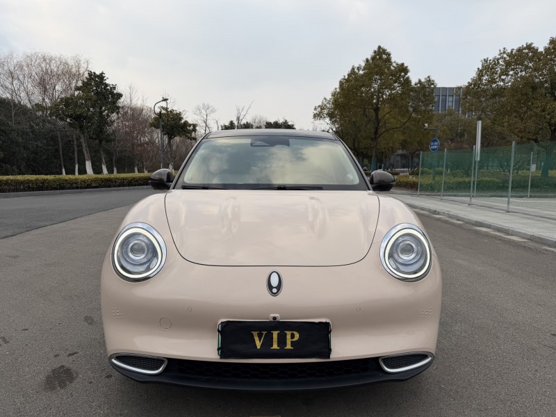 盐城21年长城汽车欧拉1