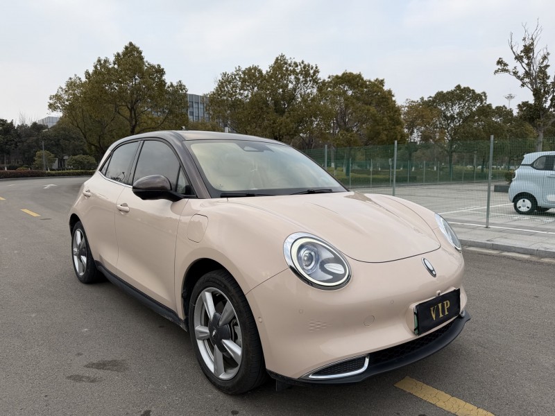 盐城21年长城汽车欧拉3