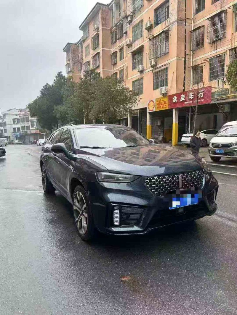 衡阳21年长城汽车魏牌2