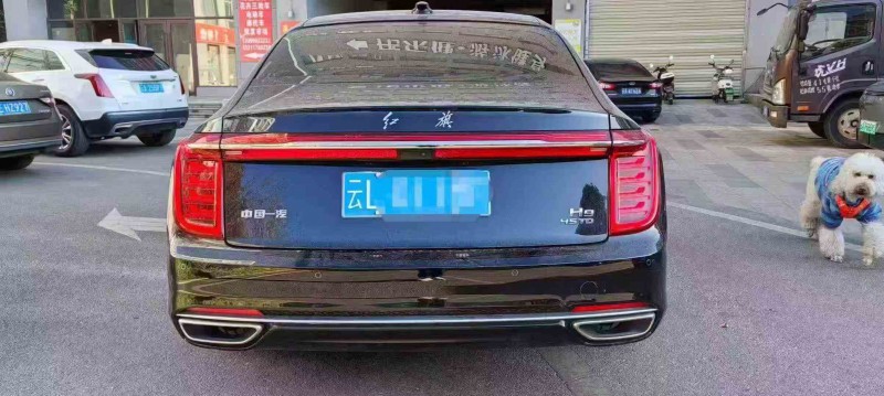 临沧23年红旗H99