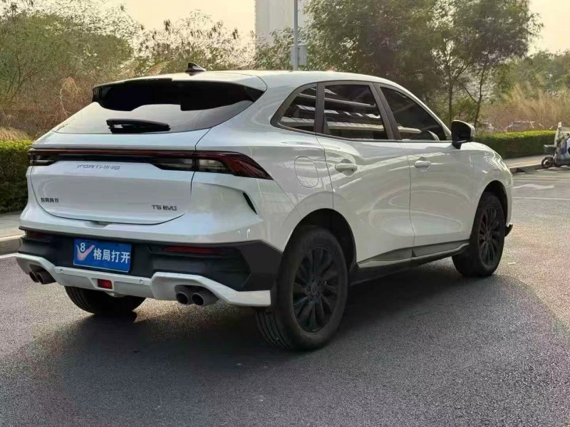 东莞25年东风风行7