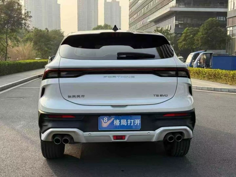 东莞25年东风风行9