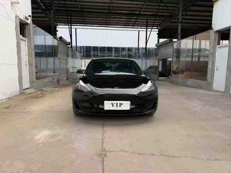 徐州22年特斯拉MODEL 31