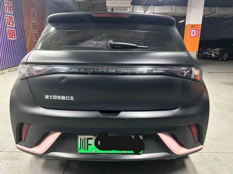 成都23年比亚迪海豚2