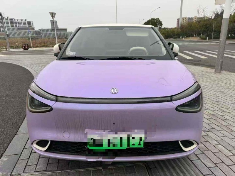 金华24年东风纳米1