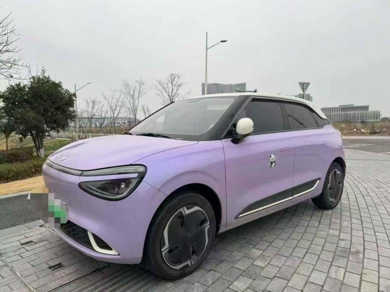 金华24年东风纳米2