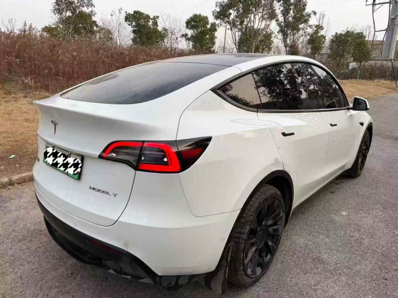 十堰21年特斯拉MODEL Y6