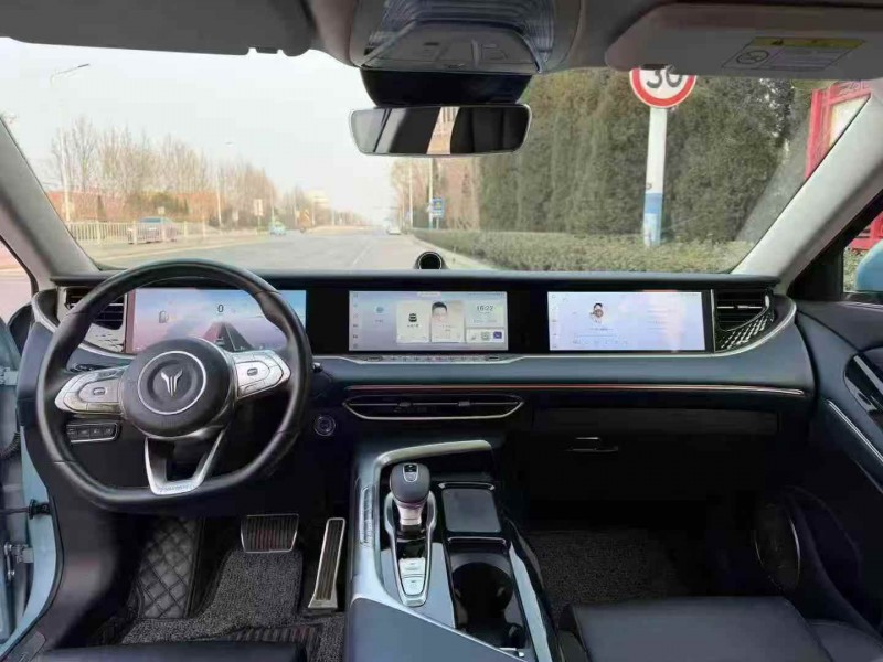 枣庄22年岚图汽车FREE6