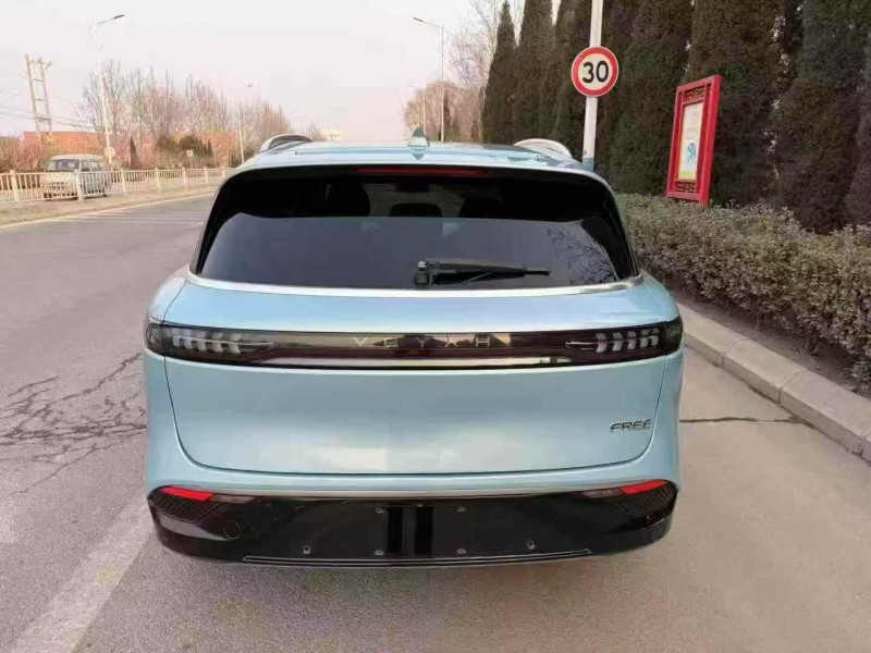 枣庄22年岚图汽车FREE8