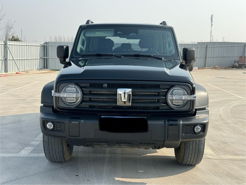 新乡24年长城汽车坦克1