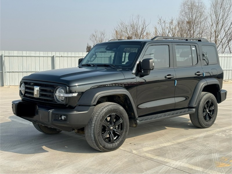 新乡24年长城汽车坦克2