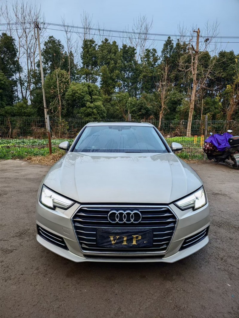 绍兴18年奥迪A4L1