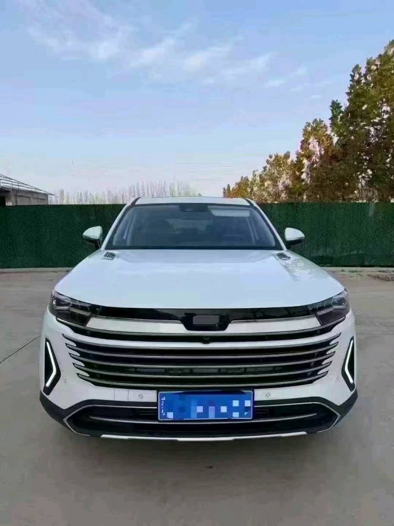 潍坊24年奔腾T991