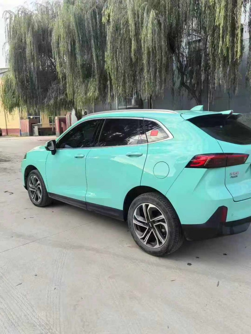 保定22年长城汽车魏牌8