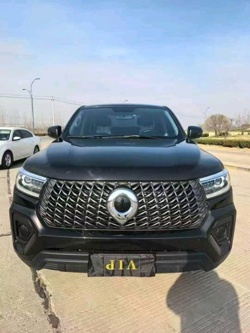 聊城25年长城汽车炮 皮卡1