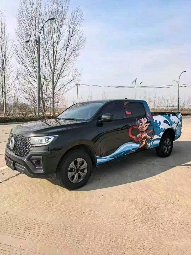 聊城25年长城汽车炮 皮卡2