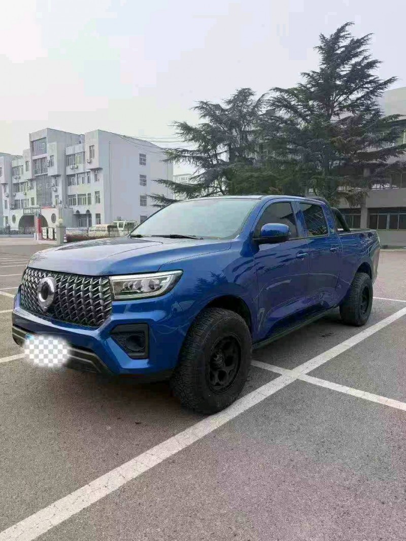 菏泽24年长城汽车炮 皮卡2