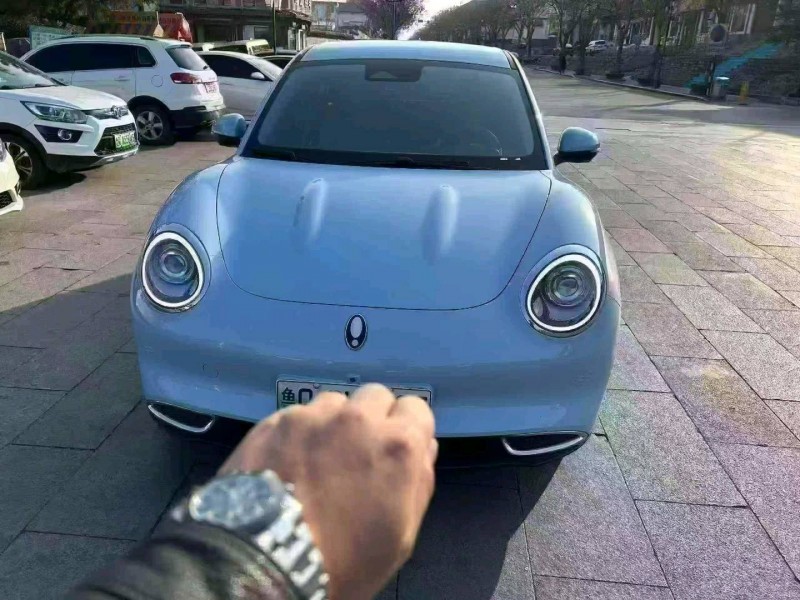 临沂23年长城汽车欧拉1