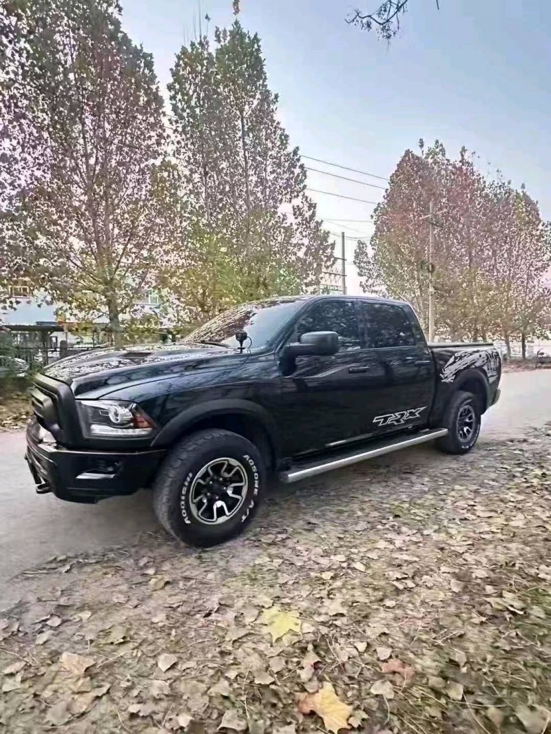 菏泽18年道奇叛逆者2