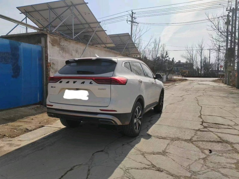 滨州24年哈弗H64