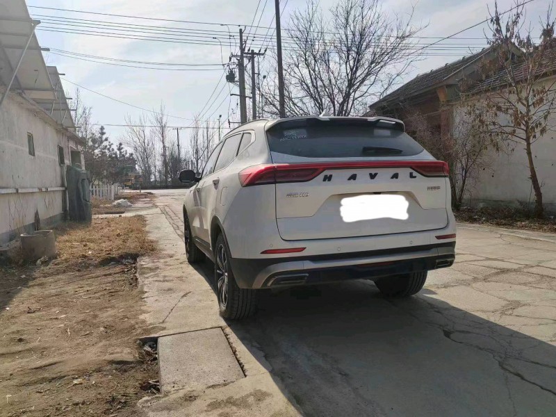 滨州24年哈弗H65