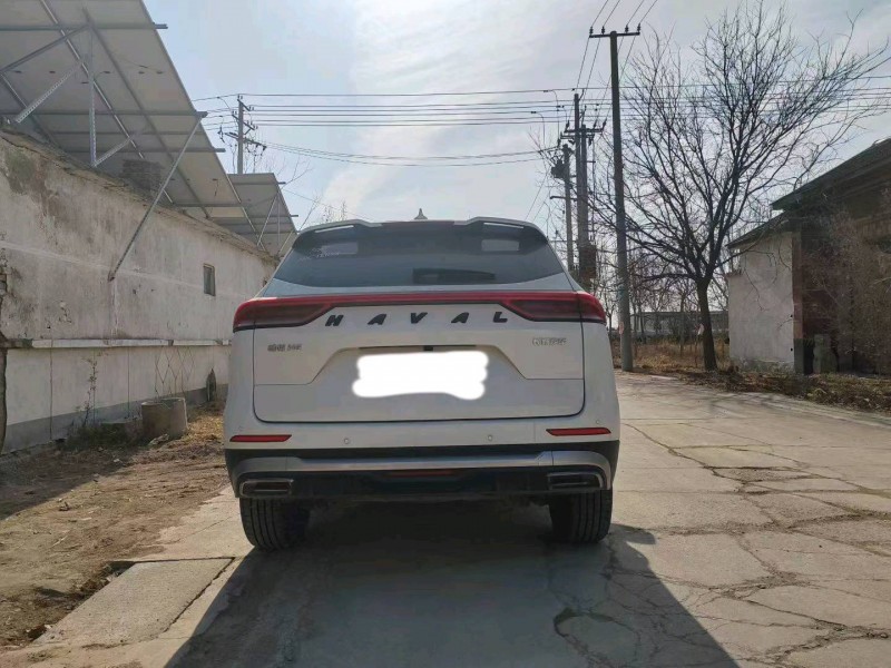 滨州24年哈弗H66